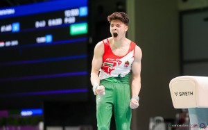 sas nandor hun sfe05455 copia simone ferraro ph